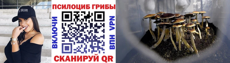 Галлюциногенные грибы Cubensis  Ржев 